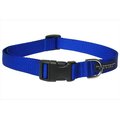 Sassy Dog Wear Sassy Dog Wear SOLID BLUE LG-C Nylon Webbing Dog Collar; Blue - Large SOLID BLUE LG-C